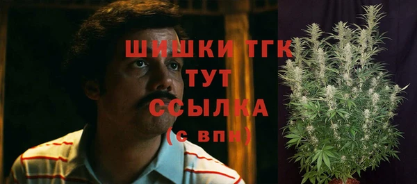 бошки Балахна